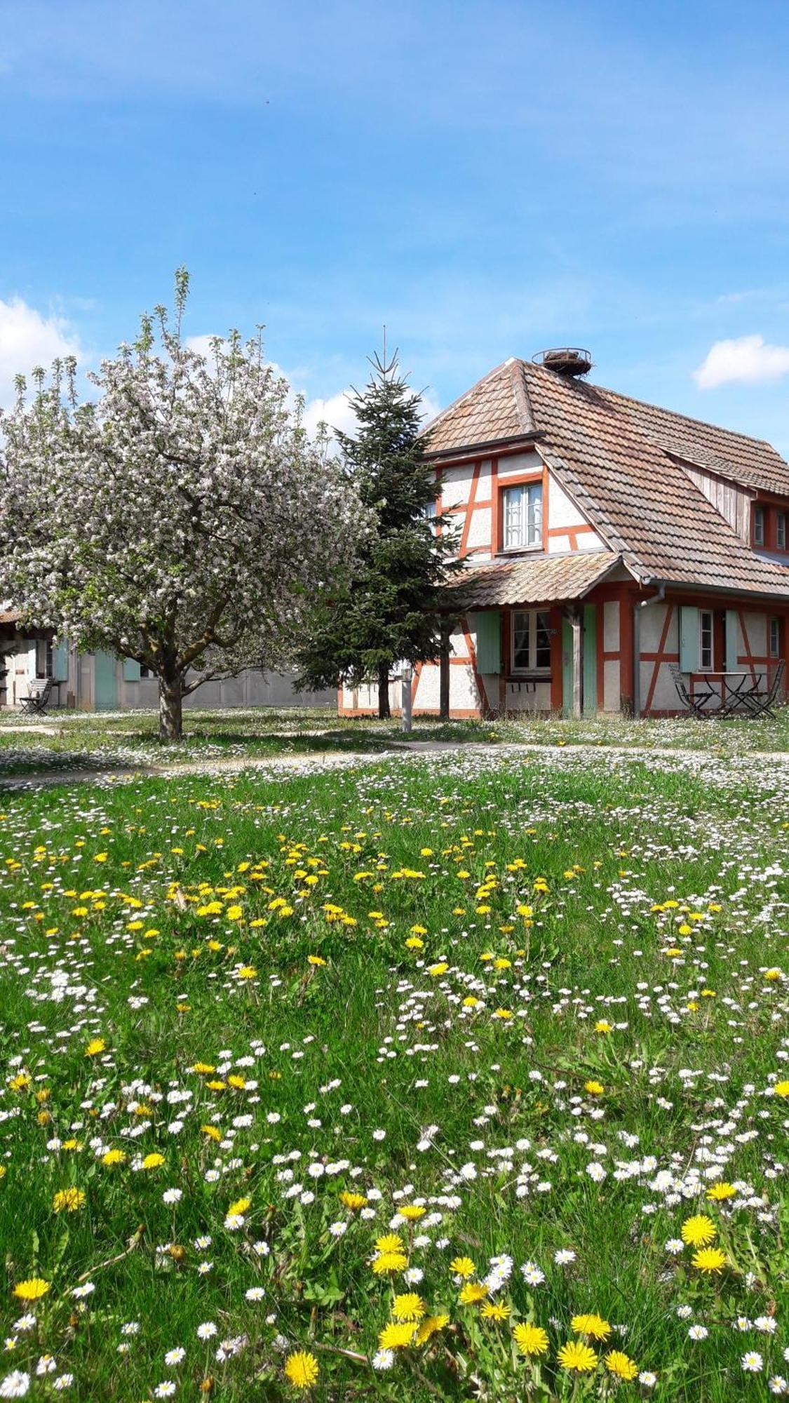 Les Loges De L'Ecomusee D'Alsace Ungersheim Dış mekan fotoğraf