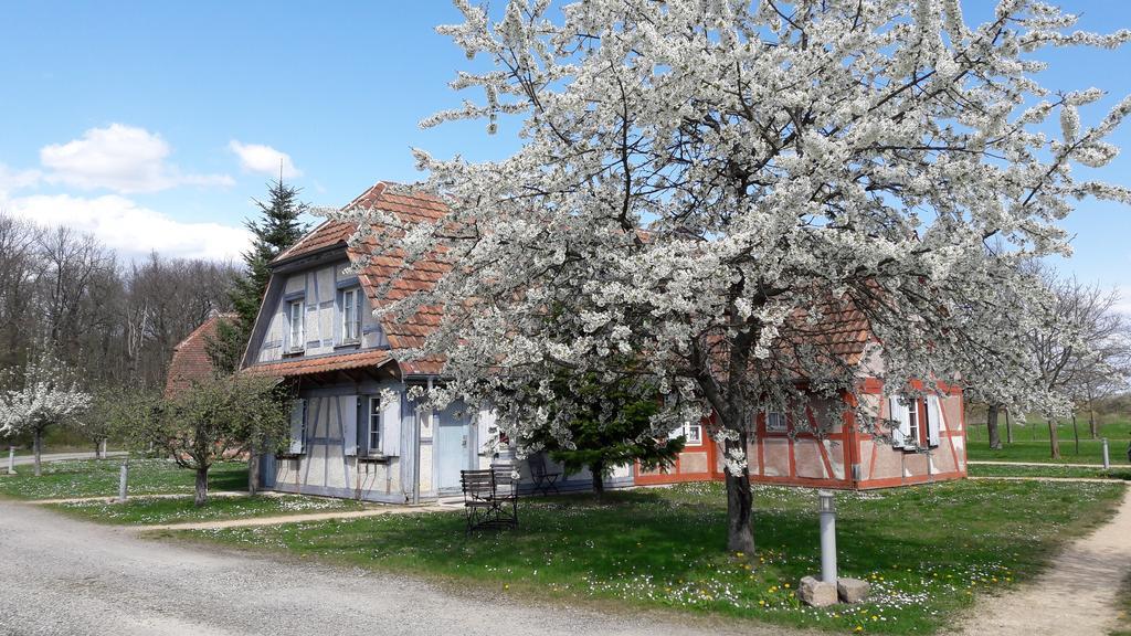 Les Loges De L'Ecomusee D'Alsace Ungersheim Dış mekan fotoğraf
